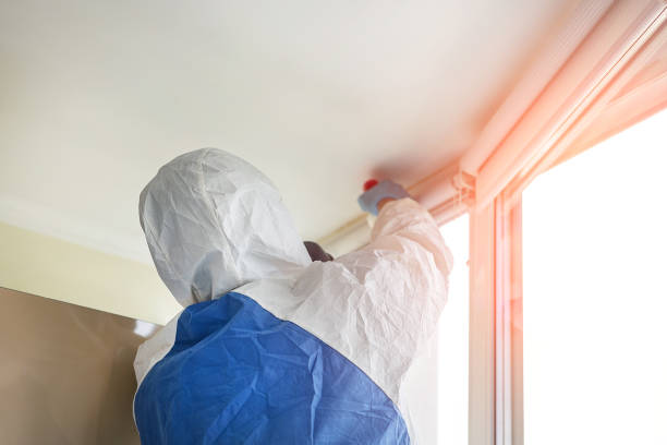 Why You Should Choose Our Mold Remediation Services in Colmar Manor, MD