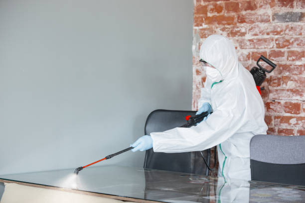 Best Attic Mold Removal  in Colmar Manor, MD